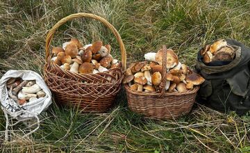 FOTO: Hubári sú v Prešovskom kraji nadšení