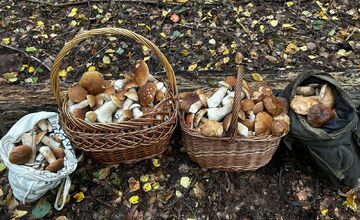 FOTO: Hubári sú v Prešovskom kraji nadšení