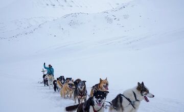 FOTO: Emma a Marcel z východu sa so svorkou psov presťahovali na Svalbard