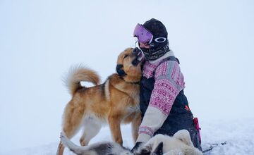 FOTO: Emma a Marcel z východu sa so svorkou psov presťahovali na Svalbard