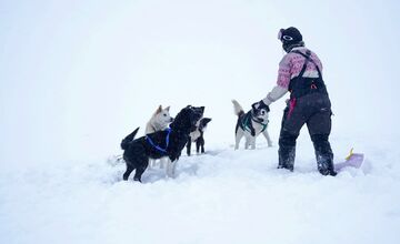 FOTO: Emma a Marcel z východu sa so svorkou psov presťahovali na Svalbard