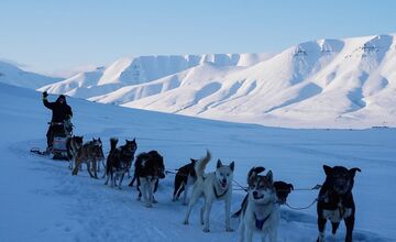 FOTO: Emma a Marcel z východu sa so svorkou psov presťahovali na Svalbard
