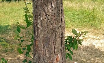FOTO: Prešovčanov zasiahol smutný pohľad na znečistené okolie vodnej nádrže Sigord