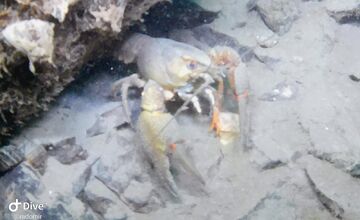 FOTO: Z tatranských vôd zmizlo 79 kíl odpadu, najviac z Kvetnice