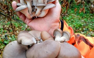 FOTO: Hubári sa pomaly lúčia so sezónou