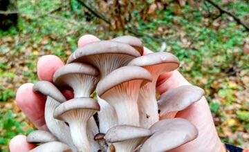 FOTO: Hubári sa pomaly lúčia so sezónou