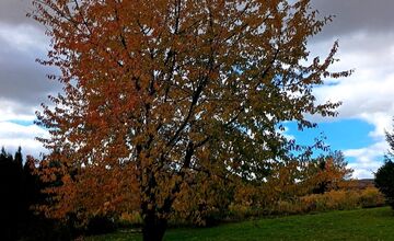 FOTO: Slováci zdieľajú jesennú krásu. Fotky z Tatier aj dolín berú dych