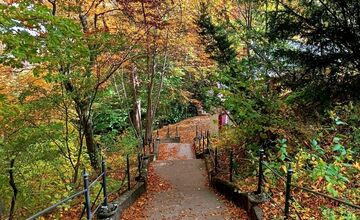 FOTO: Slováci zdieľajú jesennú krásu. Fotky z Tatier aj dolín berú dych