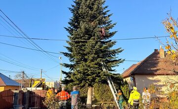 VIDEO: Vianoce 2025 dorazili do Prešova. Mesto ukázalo, ako priviezli strom