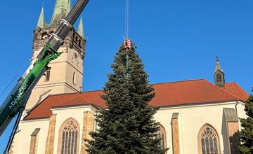 VIDEO: Vianoce 2025 dorazili do Prešova. Mesto ukázalo, ako priviezli strom