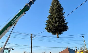 VIDEO: Vianoce 2025 dorazili do Prešova. Mesto ukázalo, ako priviezli strom