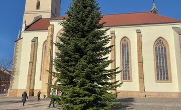 VIDEO: Vianoce 2025 dorazili do Prešova. Mesto ukázalo, ako priviezli strom