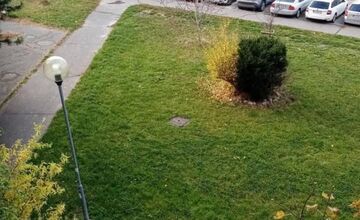 FOTO: Novembrová kriedová revolúcia