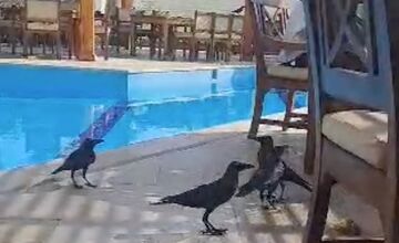 FOTO: Sedemdňová dovolenka sa pre Prešovčanku Janku zmenila na zlý sen.