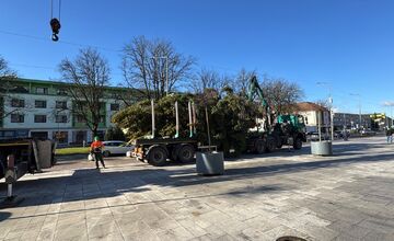 FOTO: Vianočný stromček zdobí už aj námestie vo Vranove nad Topľou