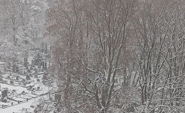 FOTO: Obyvatelia Prešovského kraja sa zobudili do zimnej rozprávky!
