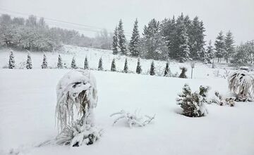 FOTO: Obyvatelia Prešovského kraja sa zobudili do zimnej rozprávky!