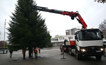FOTO: Darovaná jedľa v Humennom, posledné želanie otca splnené