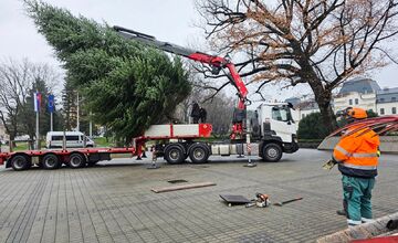FOTO: Darovaná jedľa v Humennom, posledné želanie otca splnené