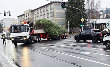 FOTO: Darovaná jedľa v Humennom, posledné želanie otca splnené