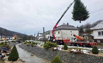 FOTO: Darovaná jedľa v Humennom, posledné želanie otca splnené