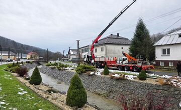 FOTO: Darovaná jedľa v Humennom, posledné želanie otca splnené