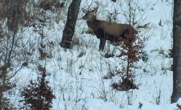 FOTO: Slováci zdieľajú zimné turistické skvosty