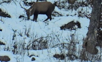 FOTO: Slováci zdieľajú zimné turistické skvosty