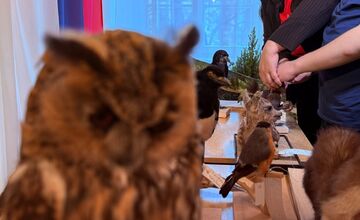 FOTO: Slabozrakým a nevidiacim deťom v Levoči priniesli originálny darček