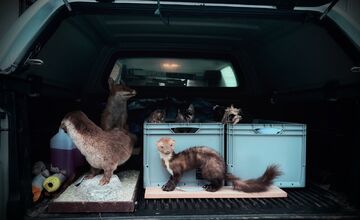 FOTO: Slabozrakým a nevidiacim deťom v Levoči priniesli originálny darček