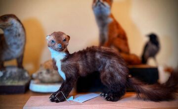 FOTO: Slabozrakým a nevidiacim deťom v Levoči priniesli originálny darček