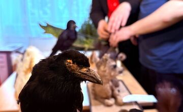 FOTO: Slabozrakým a nevidiacim deťom v Levoči priniesli originálny darček