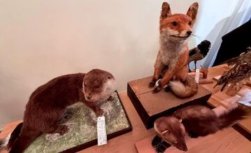 FOTO: Slabozrakým a nevidiacim deťom v Levoči priniesli originálny darček