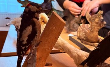 FOTO: Slabozrakým a nevidiacim deťom v Levoči priniesli originálny darček