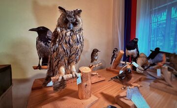 FOTO: Slabozrakým a nevidiacim deťom v Levoči priniesli originálny darček