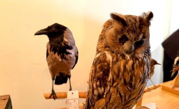 FOTO: Slabozrakým a nevidiacim deťom v Levoči priniesli originálny darček