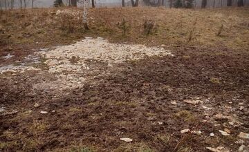 FOTO: Pri Veľkej Lomnici odhalili nelegálne krmoviská blízko domov