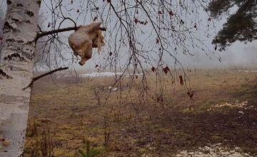 FOTO: Pri Veľkej Lomnici odhalili nelegálne krmoviská blízko domov