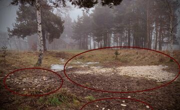 FOTO: Pri Veľkej Lomnici odhalili nelegálne krmoviská blízko domov