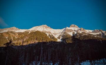FOTO: Medvede, vlky a rysy pod drobnohľadom ochranáro