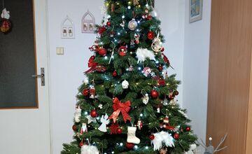 FOTO: Vianočné stromčeky našich čitateľov