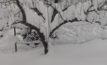 FOTO: Prešovský kraj zasiahla poriadna snehová kalamita