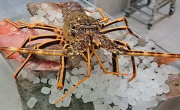 FOTO: Študenti tatranskej hotelovky sa učili od najlepších