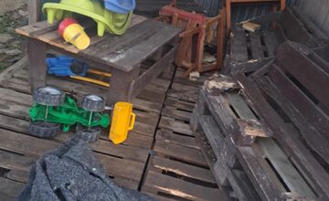 FOTO: Vo Veľkej Lomnici sú túlavé psy dlhodobým problémom