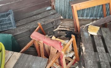 FOTO: Vo Veľkej Lomnici sú túlavé psy dlhodobým problémom