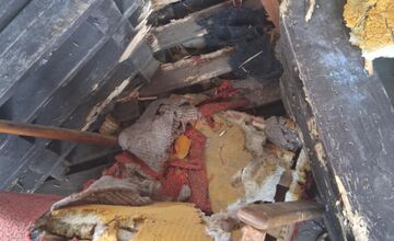 FOTO: Vo Veľkej Lomnici sú túlavé psy dlhodobým problémom