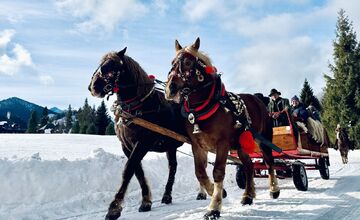 FOTO: Kočom do zakázaných Tatier. Zvernica otvára unikátny zážitok
