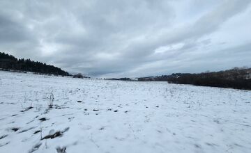 FOTO: V obci pod Tatrami medveď pravdepodobne nespí