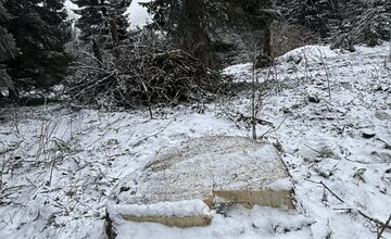 FOTO: Rúbanie v 5. stupni ochrany? My sme les bije na poplach