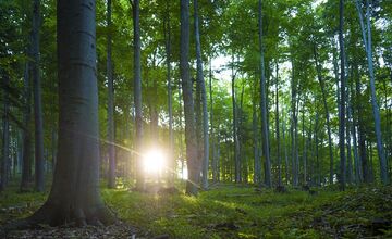 FOTO: Poloniny ako terapia? Kraj spája prírodu a zdravie